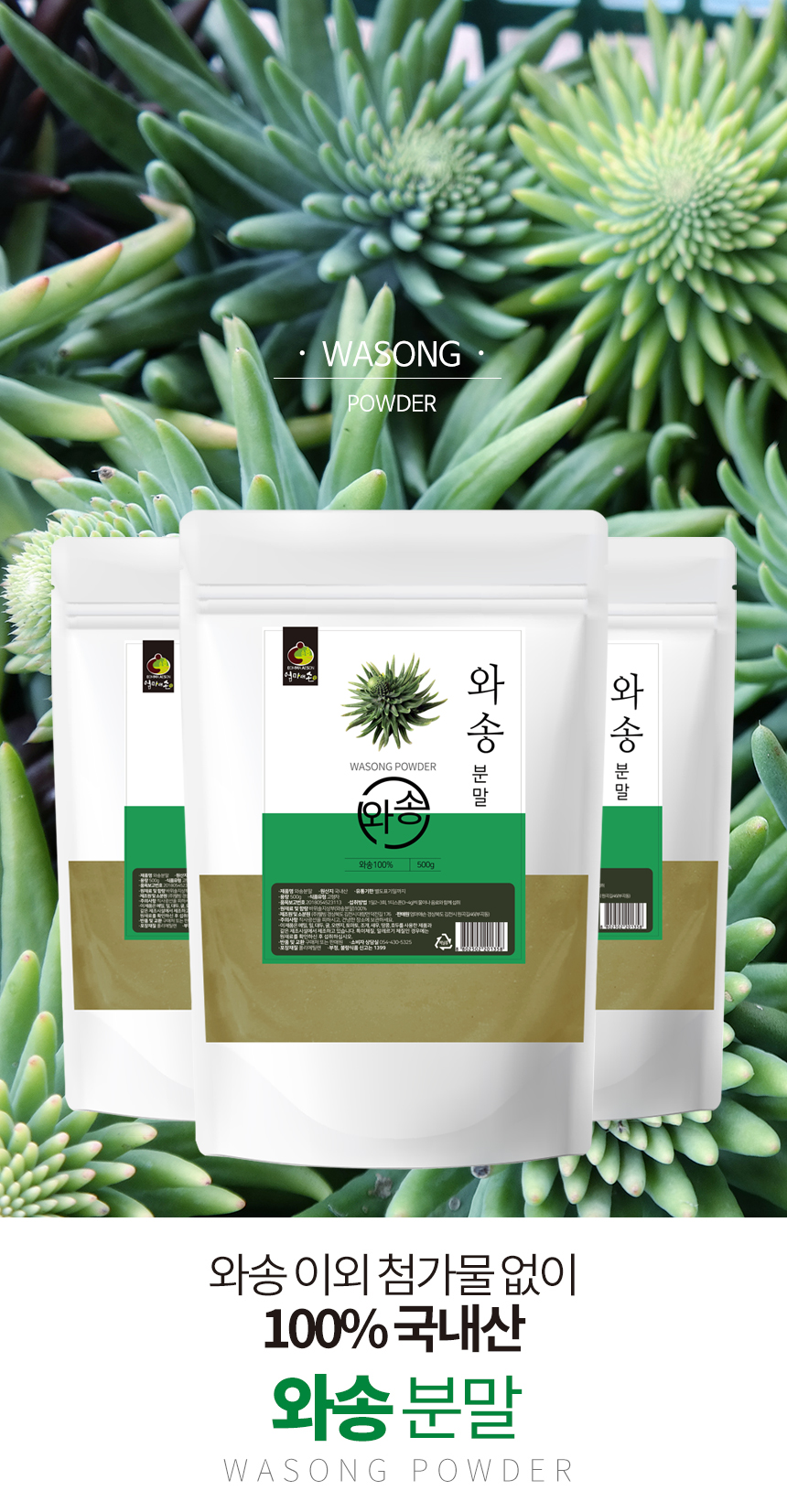 wasong500des1_114104.jpg