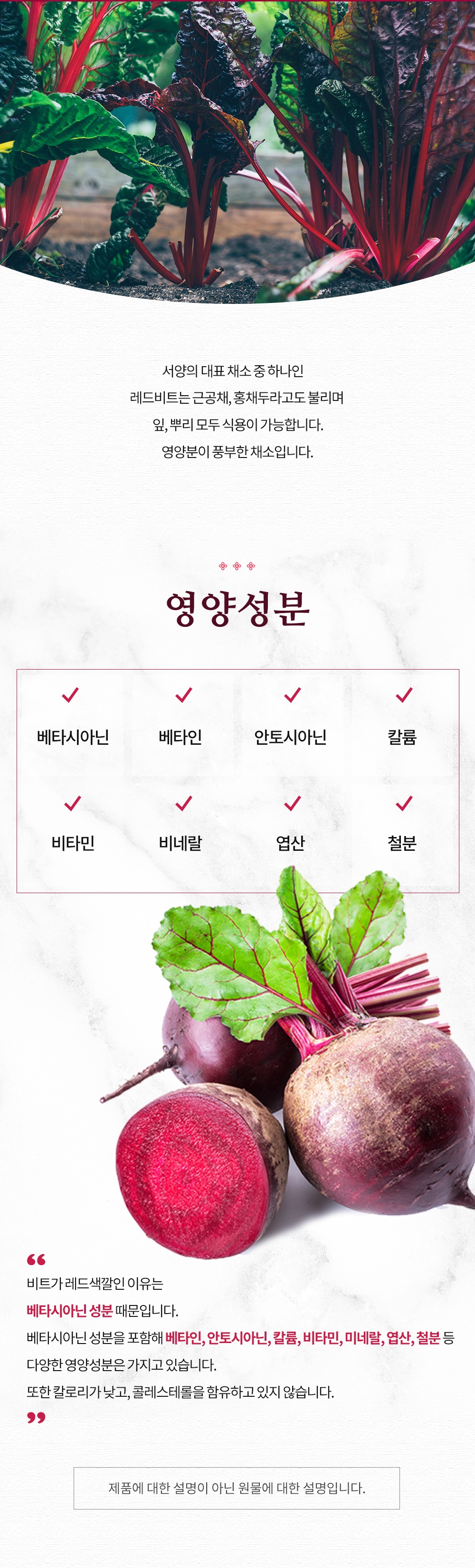 redbeet500des4_111258.jpg