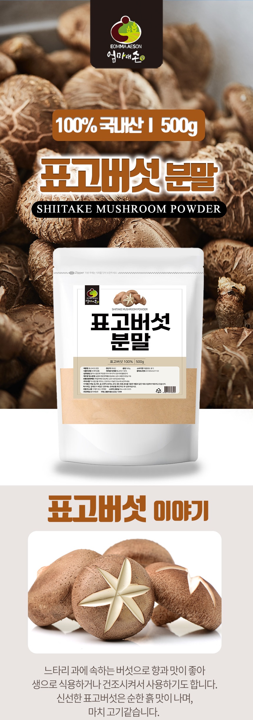 pyogo500des1_111554.jpg