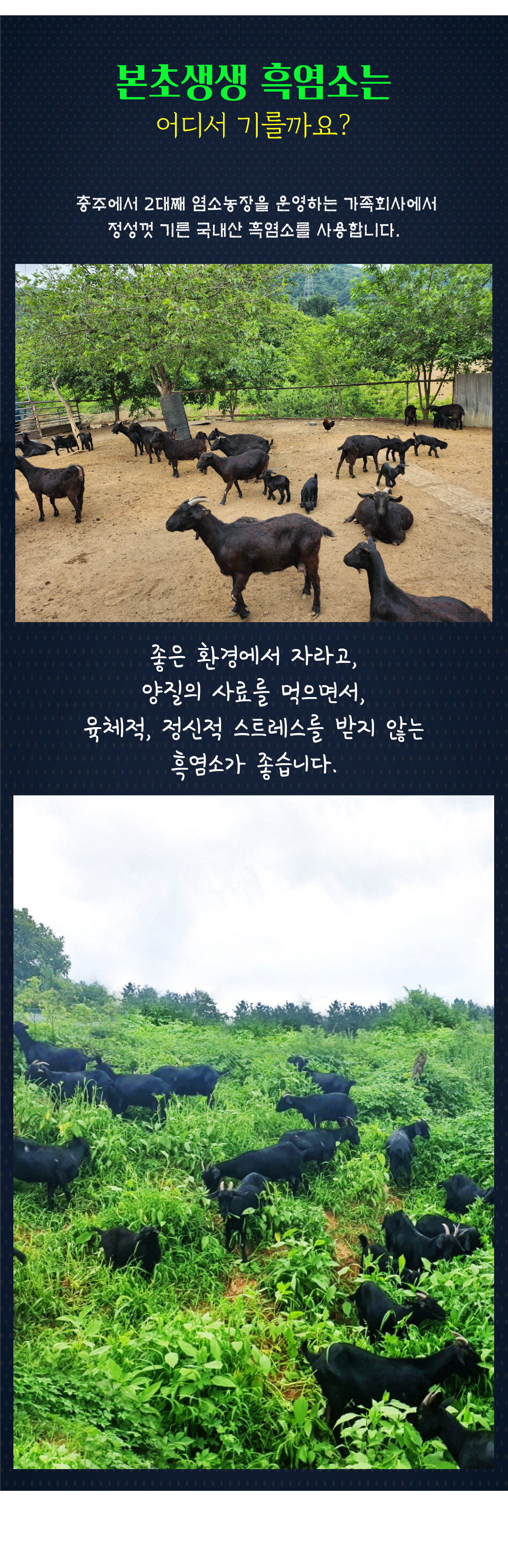 f531a38c6a48a31aabb9760cb5ecde78_170406.jpg